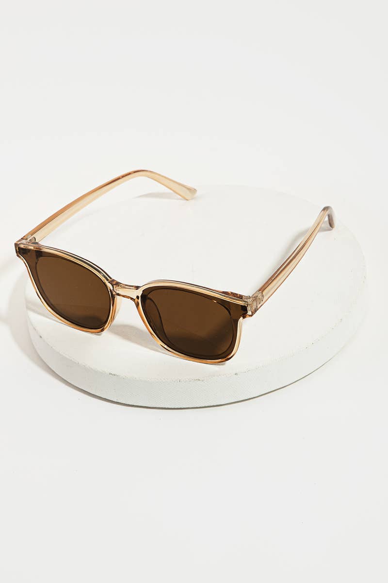 Acetate Frame Sunglasses Set: MULTI
