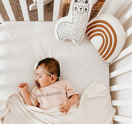 Llama Animal Pillow Canvas Material: Baby